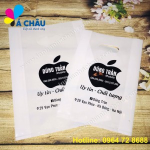 In Túi NiLon Cho Cửa Hàng Giá Rẻ Nhất Hà Nội In Túi NiLon Cho Cửa Hàng Giá Rẻ Nhất Hà Nội