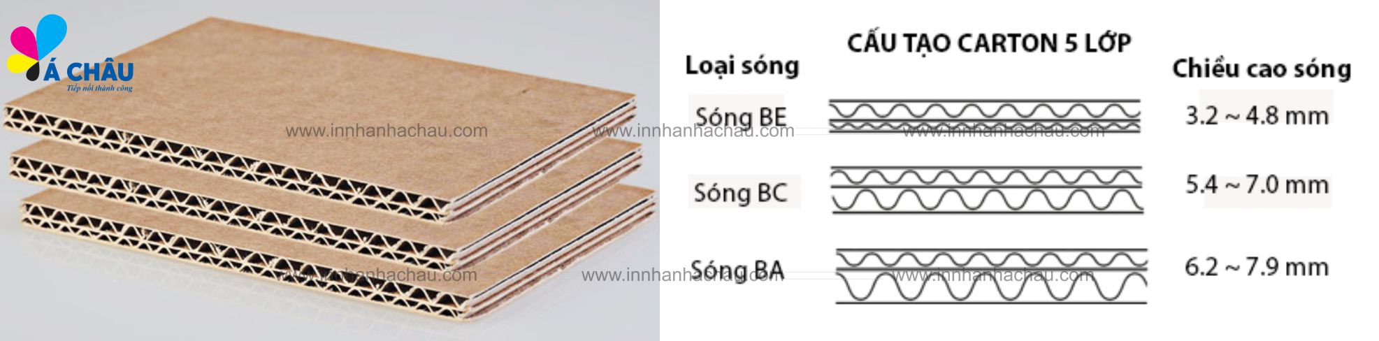 in-thung-carton-song-5-lop